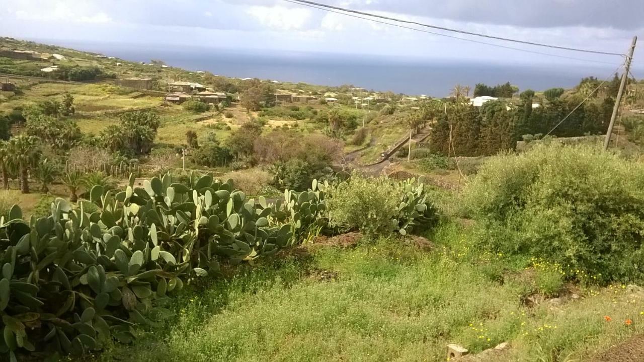 L'oasi Di Recale Holiday home *